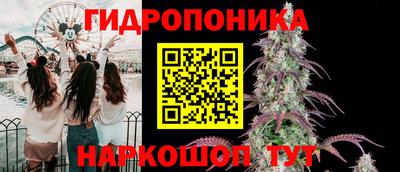 гидропоника Кулебаки