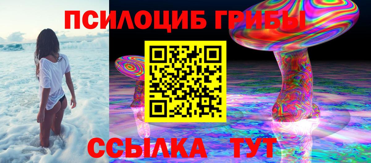 Урай  Псилоцибиновые грибы GOLDEN TEACHER  Вход с VPN  Псилоцибиновые грибы Psilocybe 